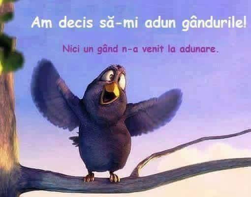 psiholog Pascani, consiliere psihologica Pascani, psihoterapie Pascani, cabinet psihologic Pascani, consiliere anxietate Pascani, consiliere depresie Pascani, terapie cuplu Pascani, psiholog Iași, consiliere psihologica Iași, psihoterapie Iași, suport psihologic Pascani, terapie stres Pascani, terapie copii Pascani, terapie adolescenti Pascani, consiliere familie Pascani, consiliere traume Pascani, consiliere dependente Pascani, consiliere probleme somn Pascani, evaluare psihologica Pascani, psihodiagnostic Pascani, terapie individuala Pascani, consiliere doliu Pascani, psihoterapie online Pascani, psiholog online Iași, sprijin psihologic Pascani, consiliere probleme relatie Pascani, consiliere cuplu Iași, terapeut copii Iași, terapie familie Iași